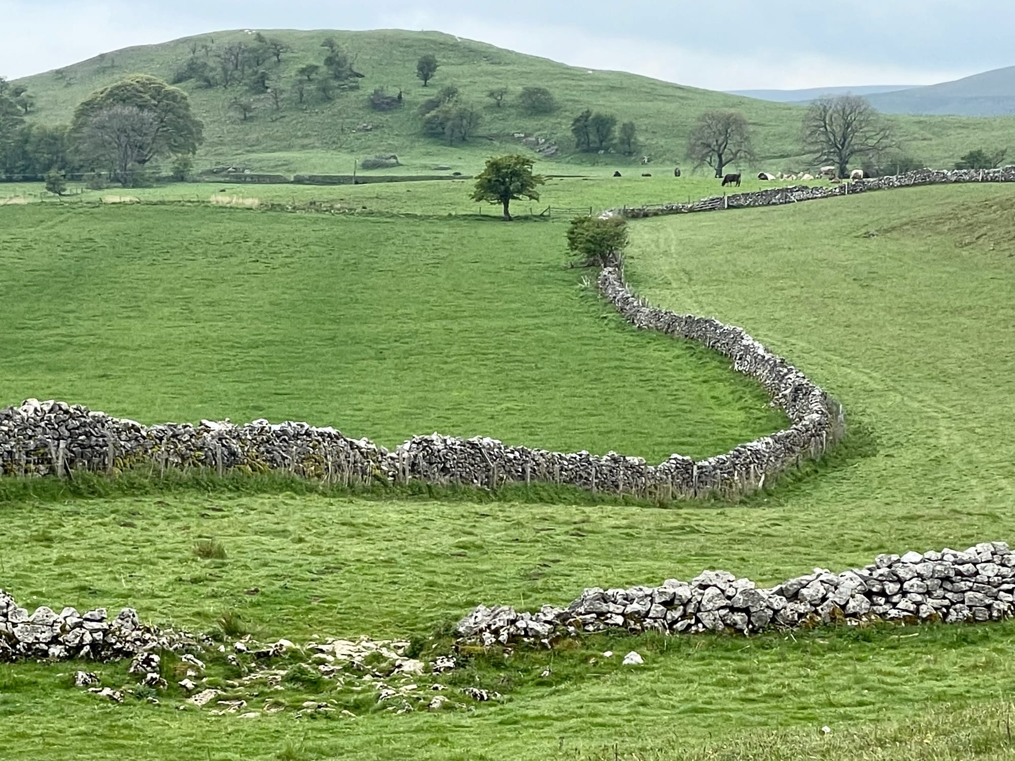 📍Loci: What lies beneath: a unique landscape in Lancashire