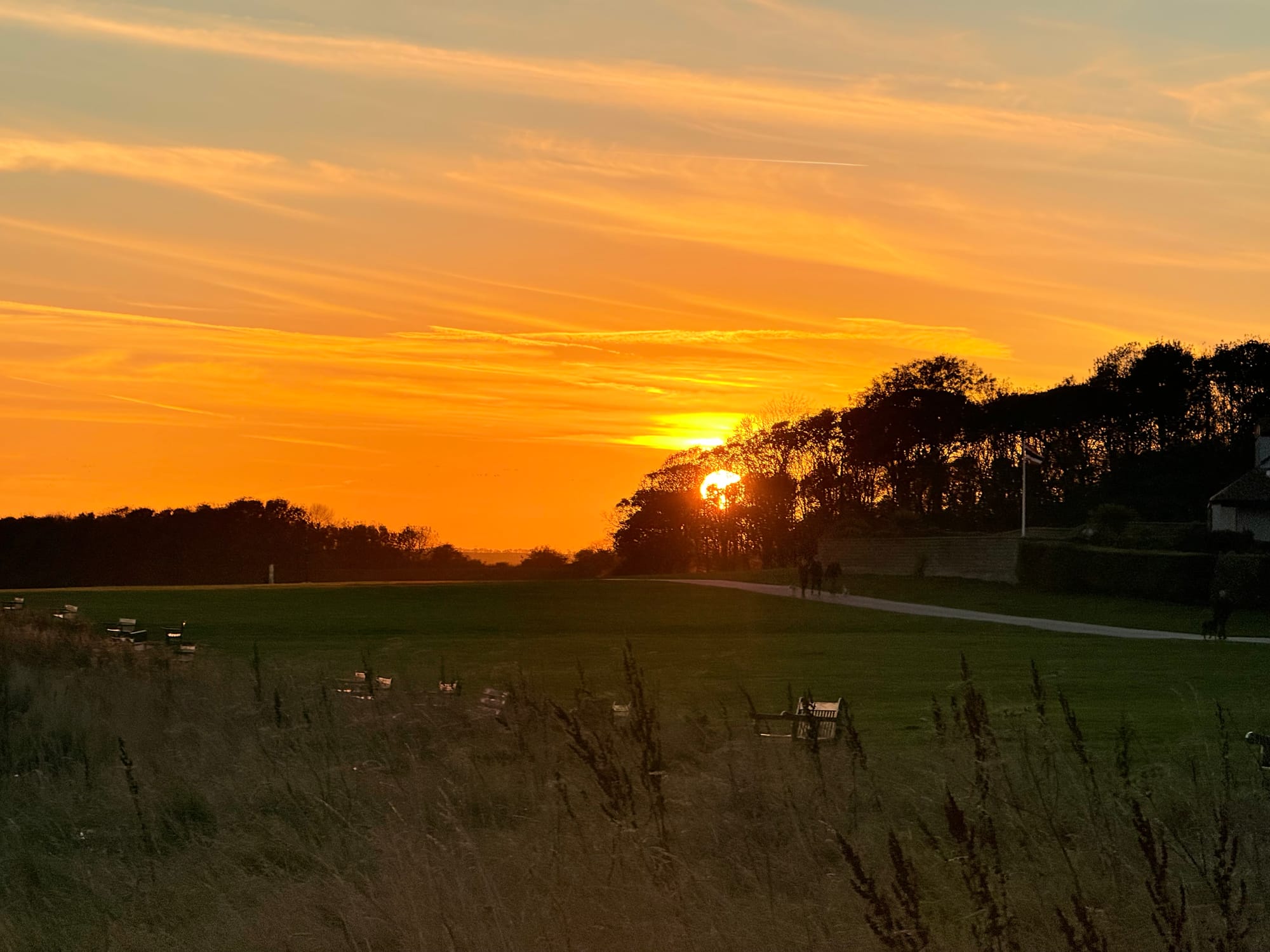 ⟁ Member's Supplement: East Yorkshire Golden Hour