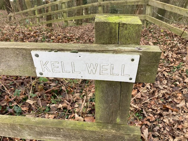 ⟁ Member's Supplement: Kell Well